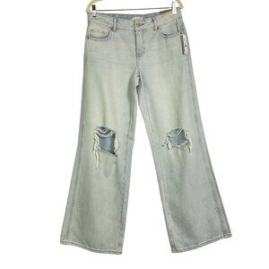 NWT Pacsun Low Rise Baggy Wide Leg Jeans, size 27